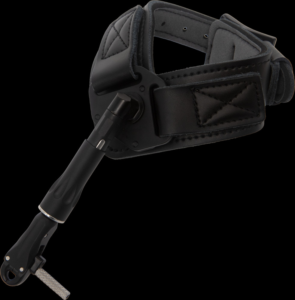 Trophy Ridge Judge Release