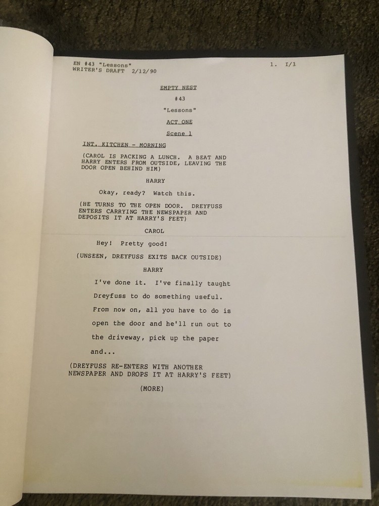 Empty Nest TV Script written by Susan Beavers