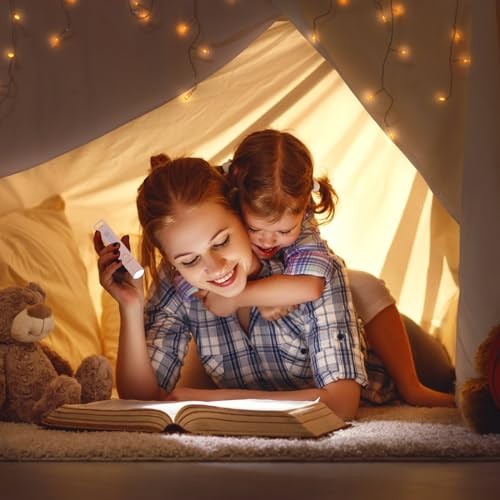 Pack Rechargeable Flashlights USB C Mini LED Flashlights, Camping Lantern 6