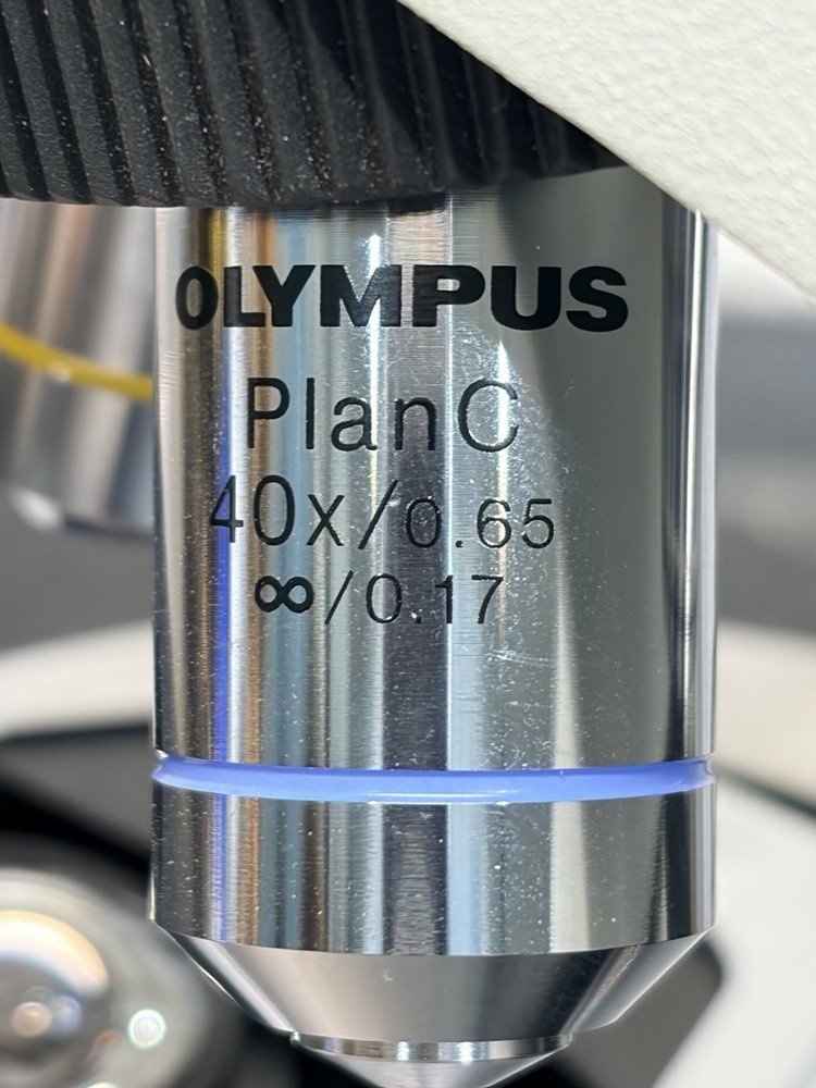 Olympus CX31 Microscope CX31RBSF Width Objectives