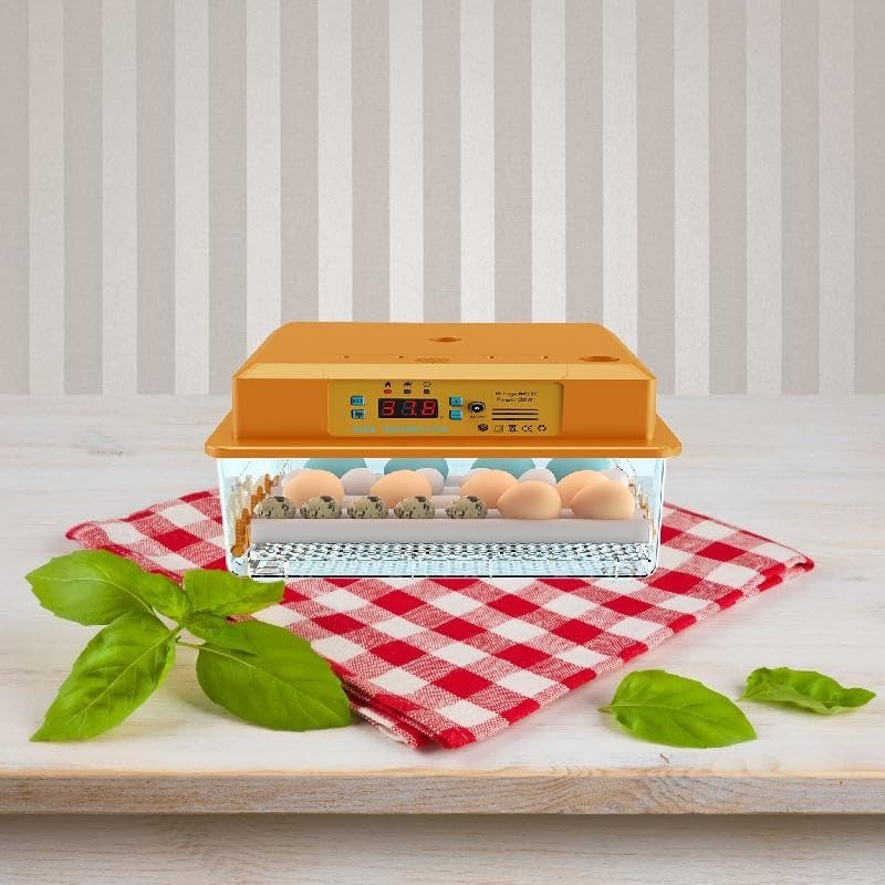 Digital Egg Hatching, Multiple Modes, Automatic Water Supply Egg Turner