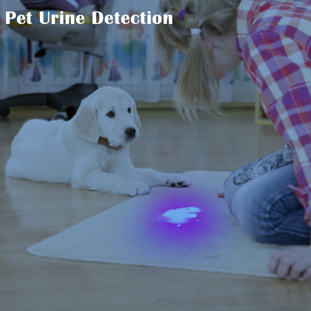 UV Flashlight Black Light–Small Portable Mini 12 LED Blacklight 1 pack,