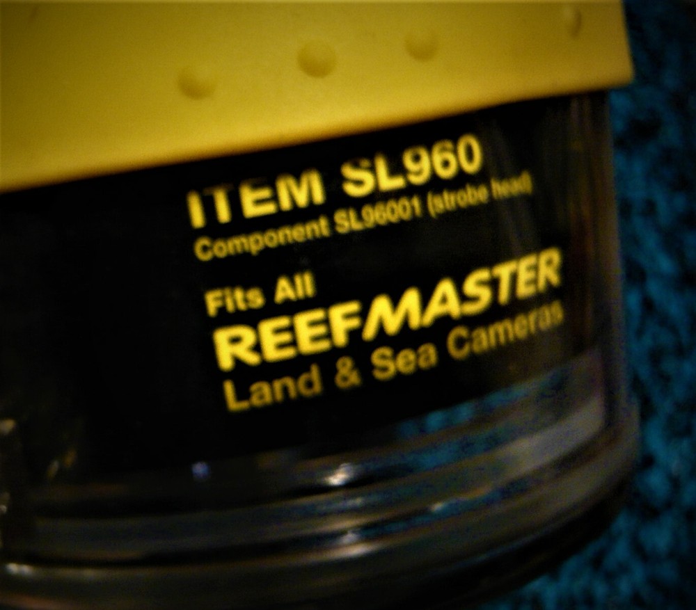 ReefMaster Underwater Camera Photography w/ External Flash and Case. NEW !