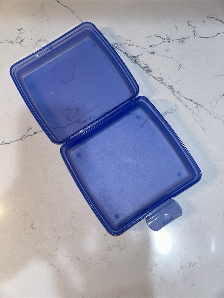 Tupperware Square Sandwich Snack Box Blue #3752 Hinged Lid