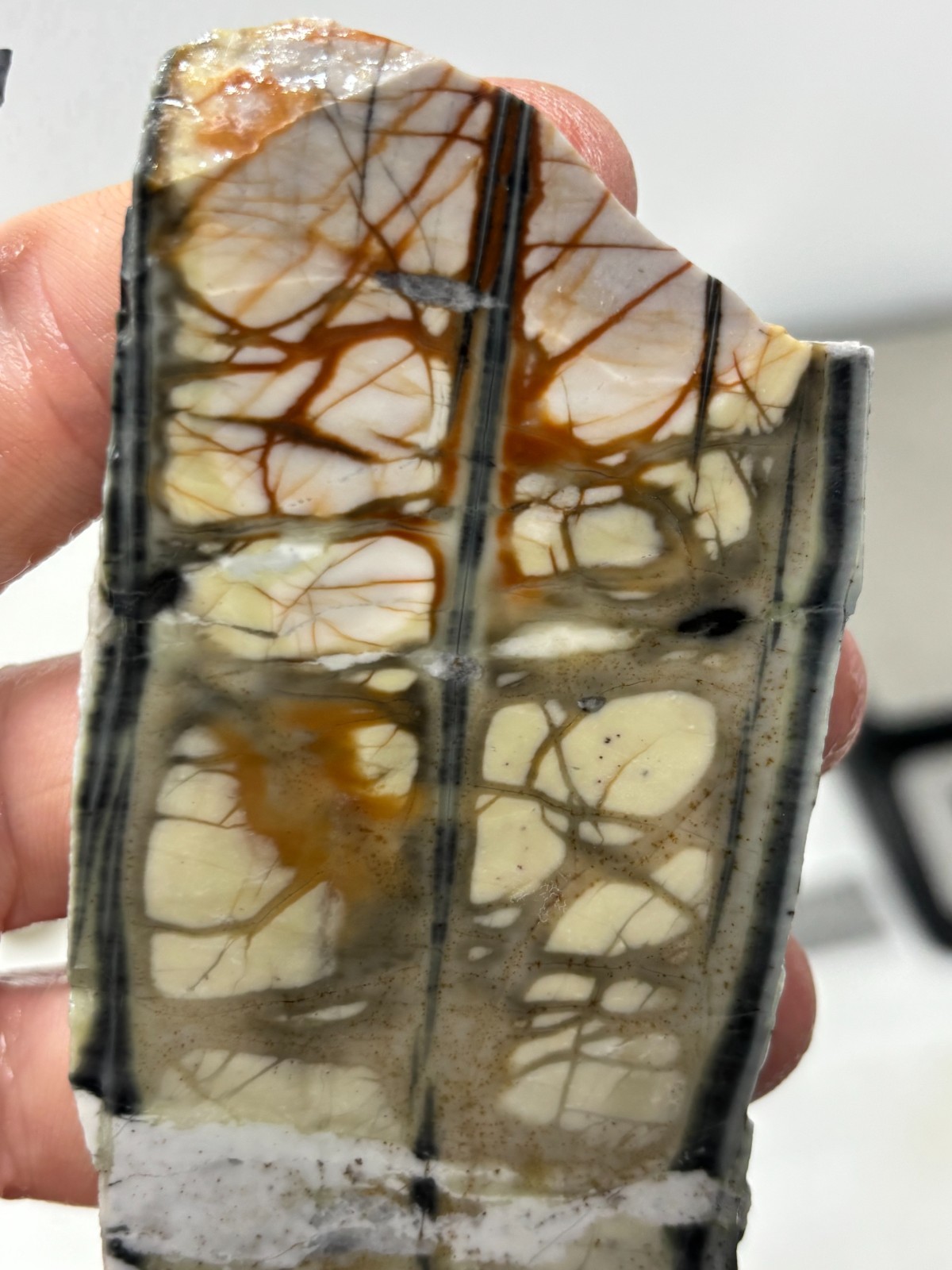 Picasso Marble (Jasper) Slabs Cabbing Lapidary Utah Combo Ship Avail