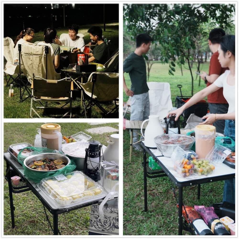 Folding Camping Table 3ft, Folding Picnic Table, Large Camp Table Portable wi...