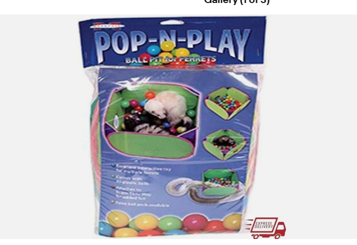 Marshall Pet Marshall Ferret Pop-N-Play