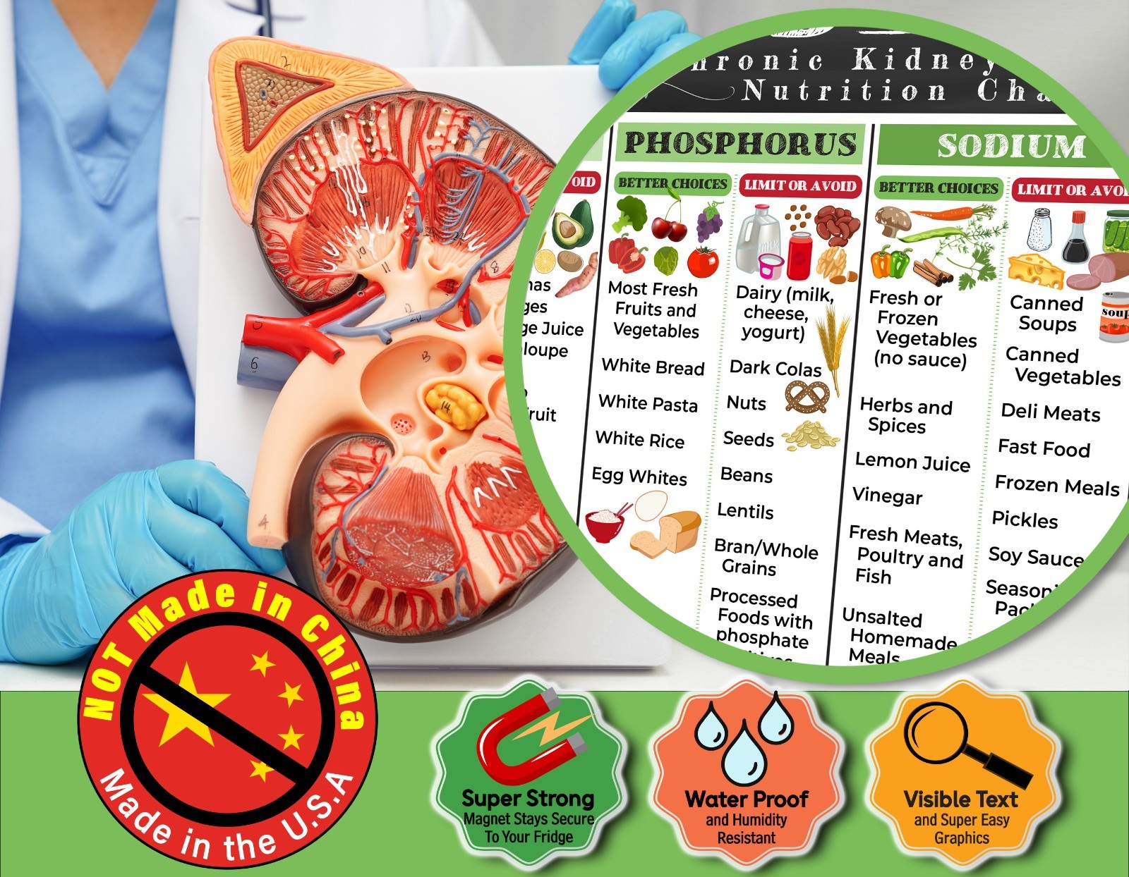 CKD Diet Guide 8.5x11 Kidney Friendly Food Chart Renal Nutrition Ref Poster Arts