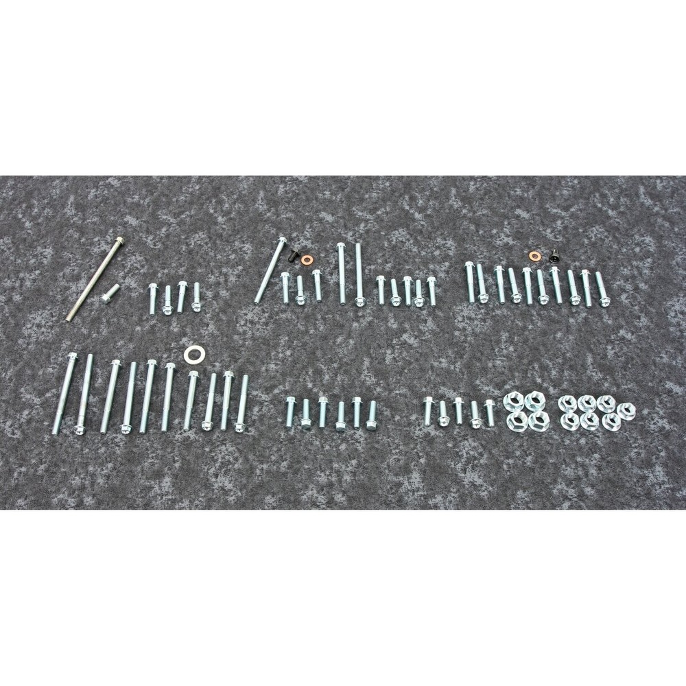 Bolt Motorcycle Hardware Engine Fastener Kit - E-C5-8601