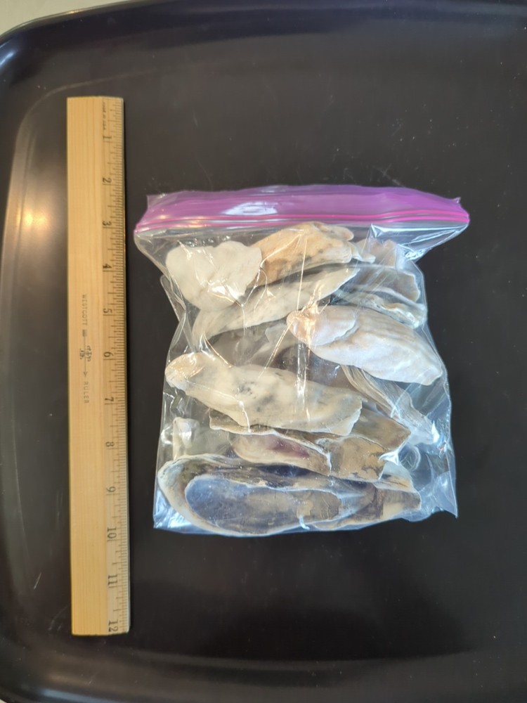 Quart size bag of Oyster shells