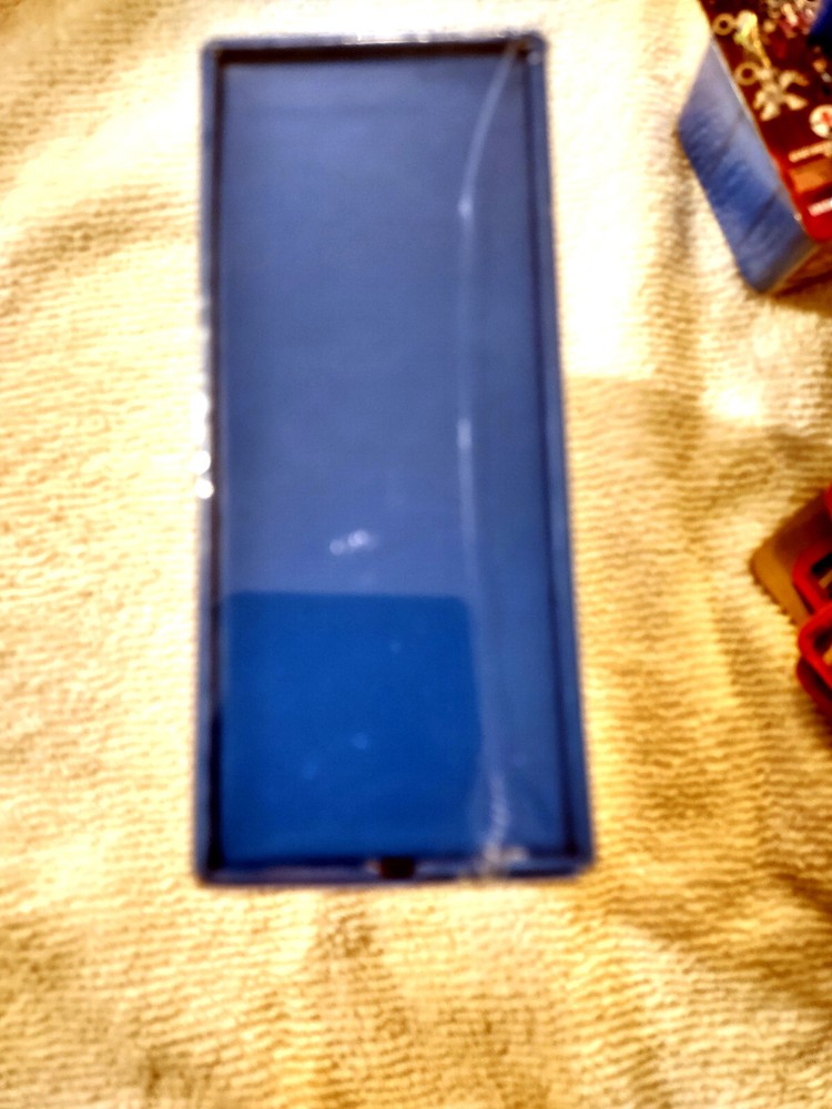 POGO CAM Wearable Camera SEALED