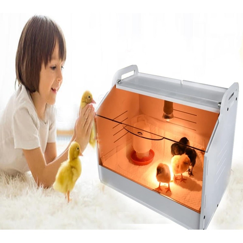 110V 50W Heating Lamp Brooder Box Chicks Ducklings W/ Temp Humidity Display New