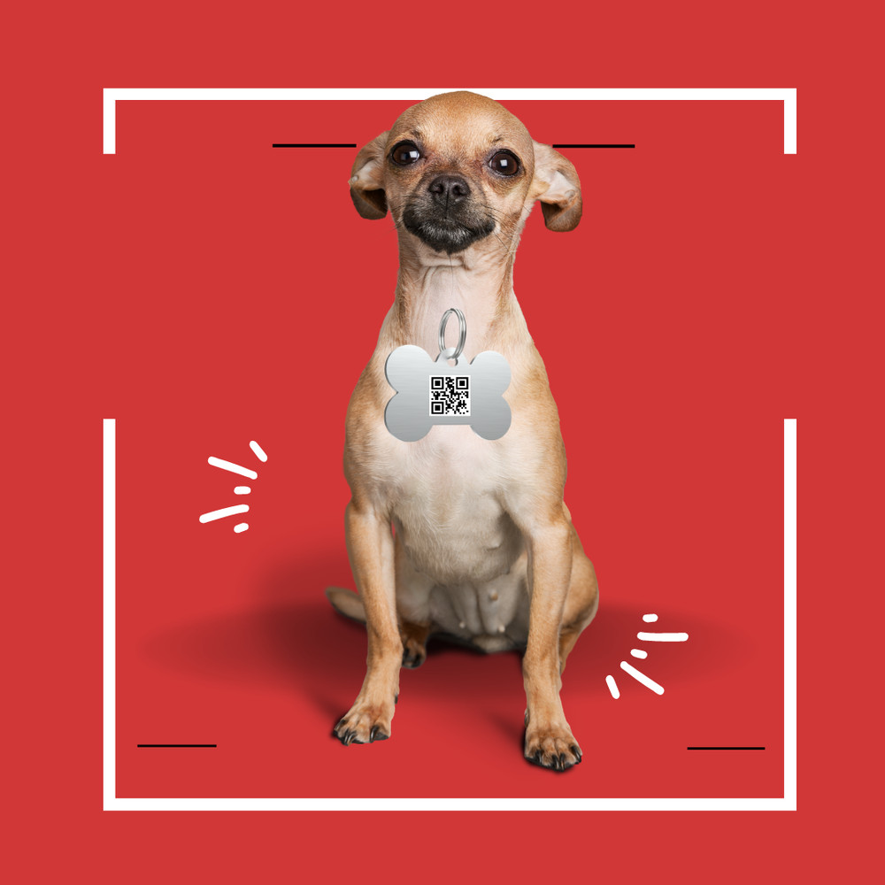 QR for pet identification