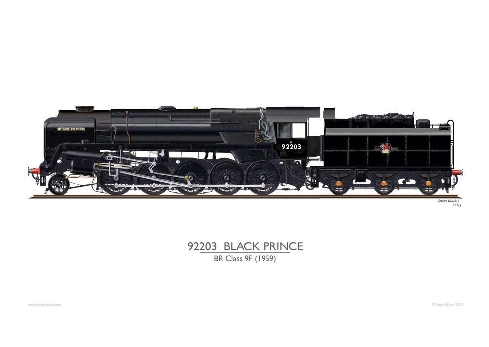 92203 Black Prince - Precision Art Print - NEW