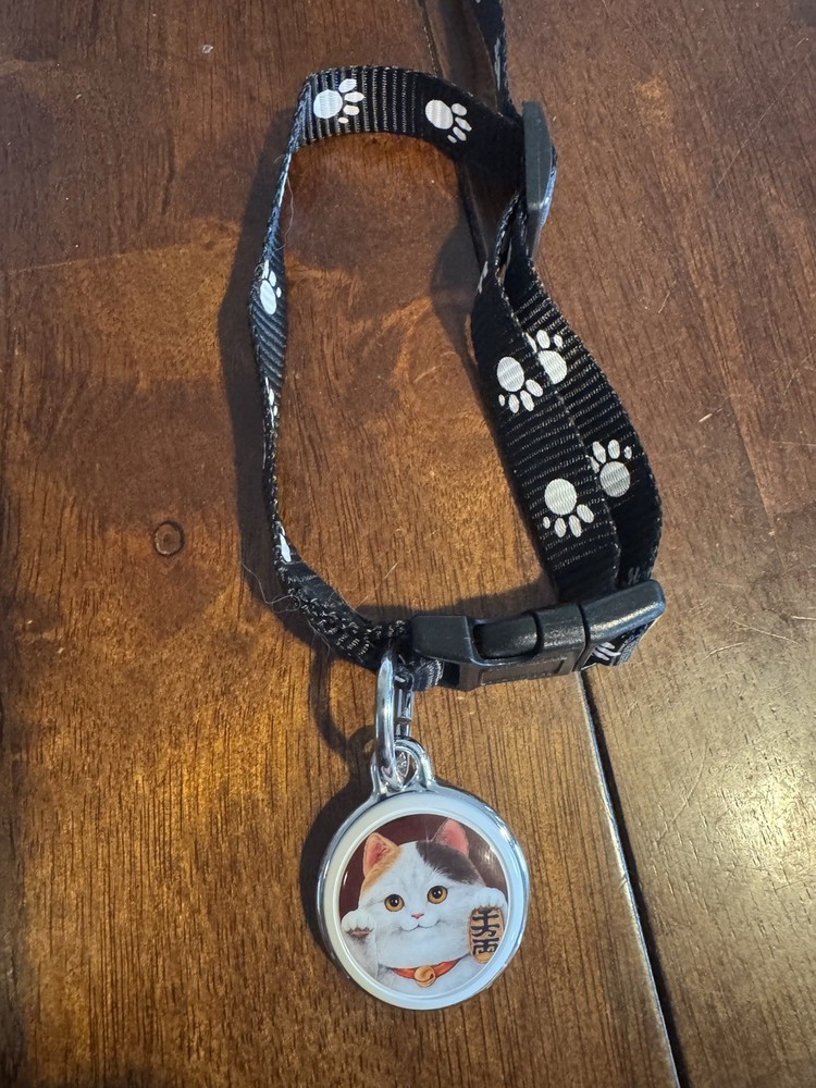 Cat GPS Bluetooth Tracker Collar Tag Anti-Lost Locator for iPhone Android