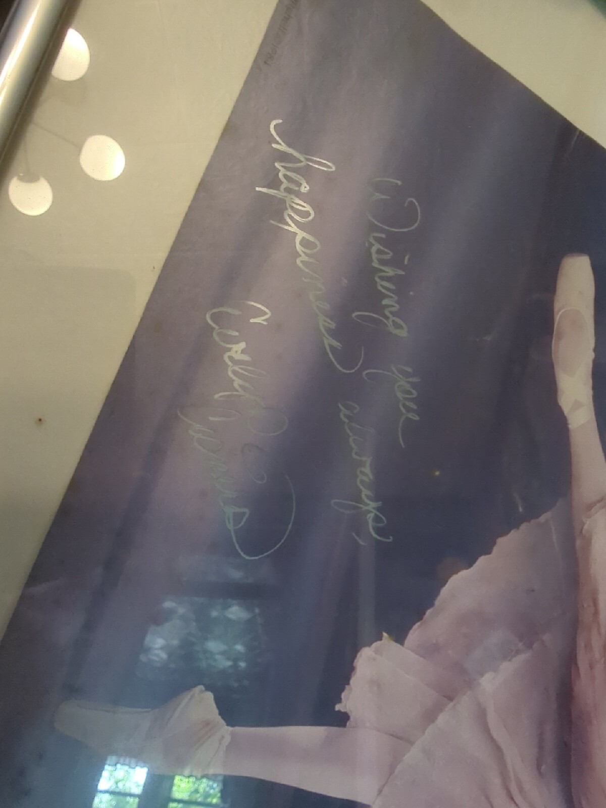 1984 SAN FRANCISCO 52nd BALLET FRAMED POSTER SIGNED EVELYN CISNEROS VTG