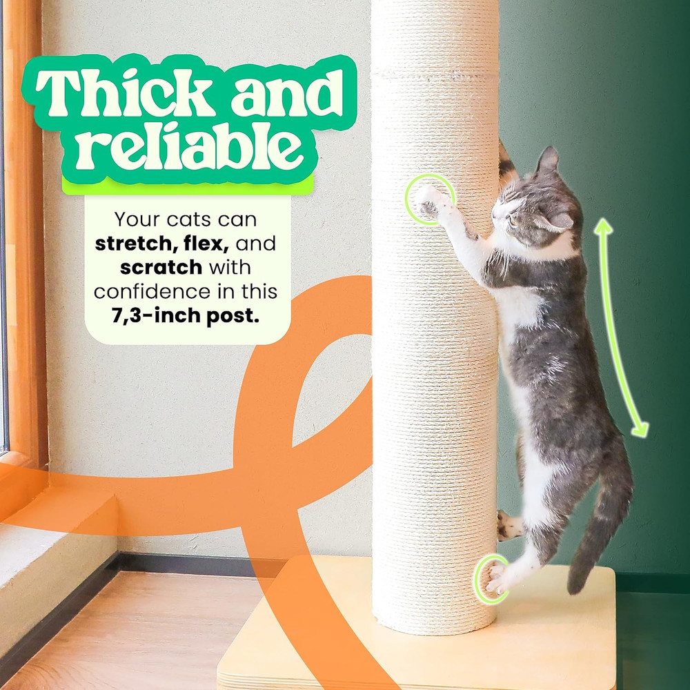 Extra-Large 50" Cat Scratching Post for Big Cats with Solid Wood Base