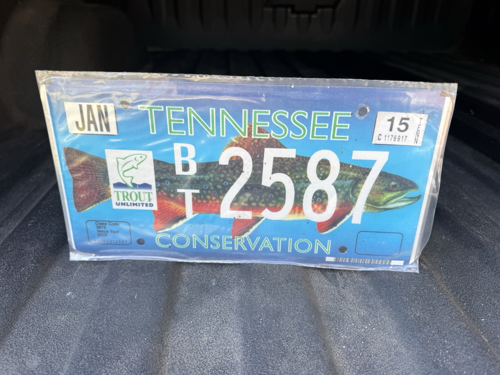 Tennessee Trout Unlimited Conservation License Plate BT2587 Collectible
