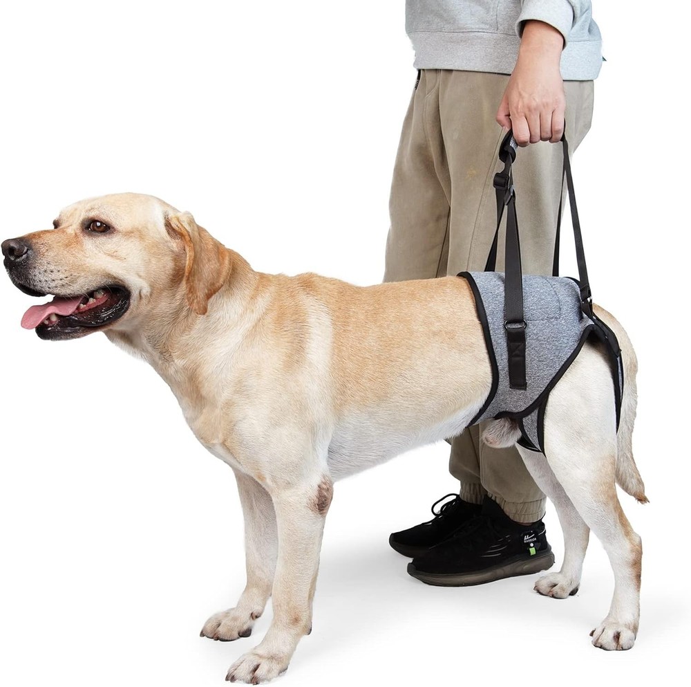 Dog Support Harness - Back Leg Sling Hind Leg Support - Grey Large