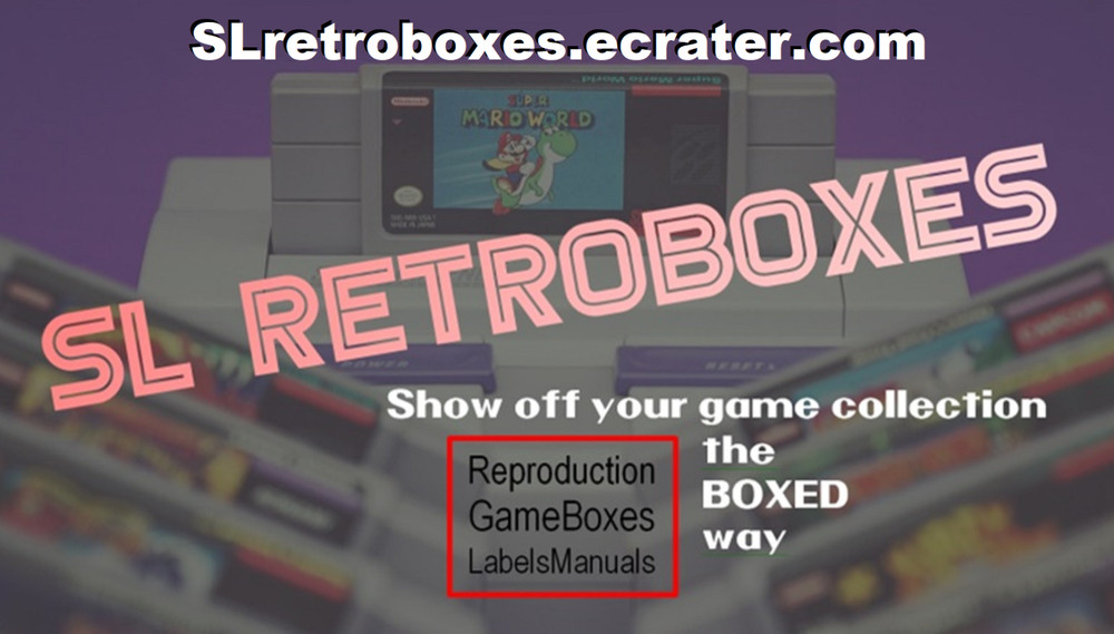 MANUAL - RESIDENT EVIL CODE: Veronica X Nintendo Gamecube 'custom' Instruction