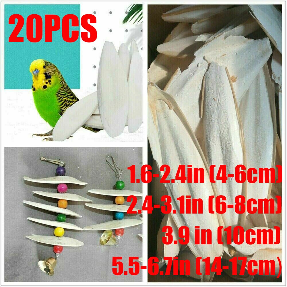 20PCS Cuttlebone for Birds Parrot Chewing Cuttle Bone For Sharp Beaks