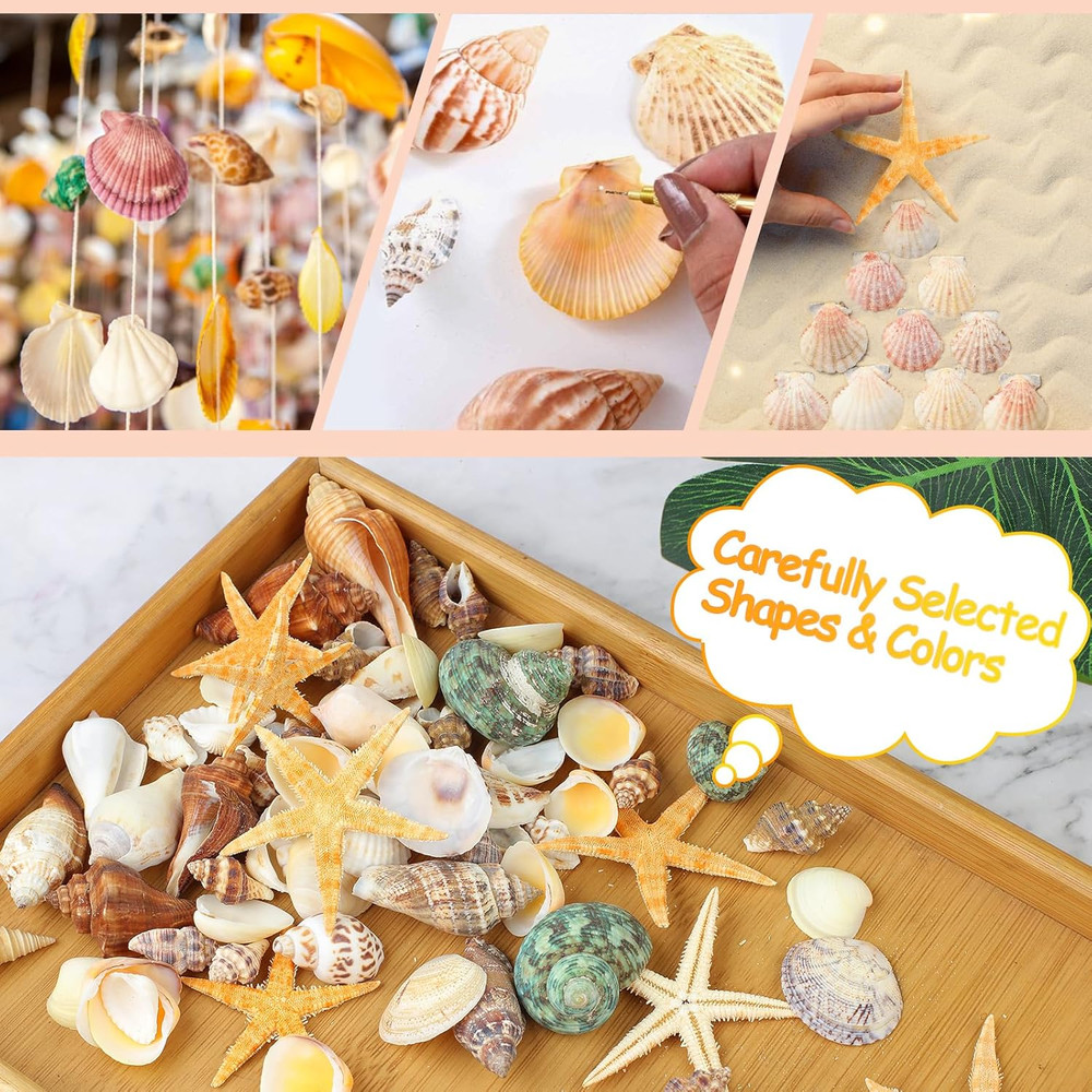 80+ Pcs Natural Seashells, Mixed Starfish Sea Shells for Crafts, Various Size...