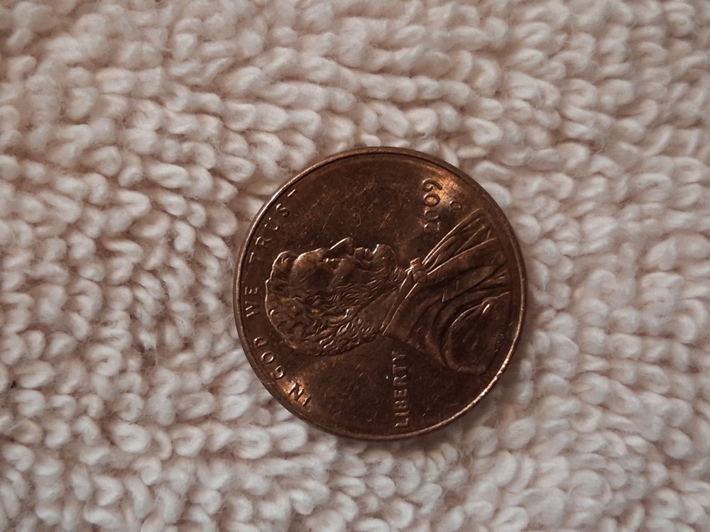 Lincoln Bicentennial Formative Years Small Cent D Mint Mark 2009 Copper RD