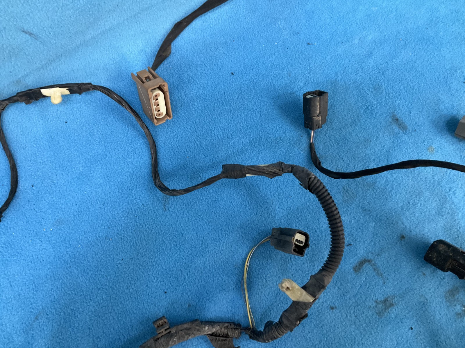 2018-2023 Ford Mustang Gt Rear Bumper Wire Wiring Harness FR3T-13412-BC OEM