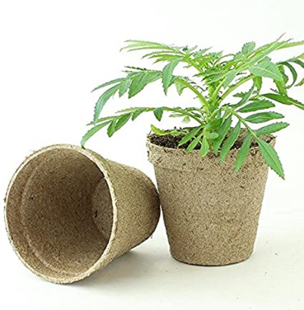 Jiffy 3 Inch Round Peat Pots BIODEGRADABLE Seed Starting Growing FAST FAST SHIP