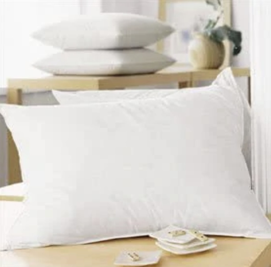Creative Bedding Fossfill Antibacterial Pillows