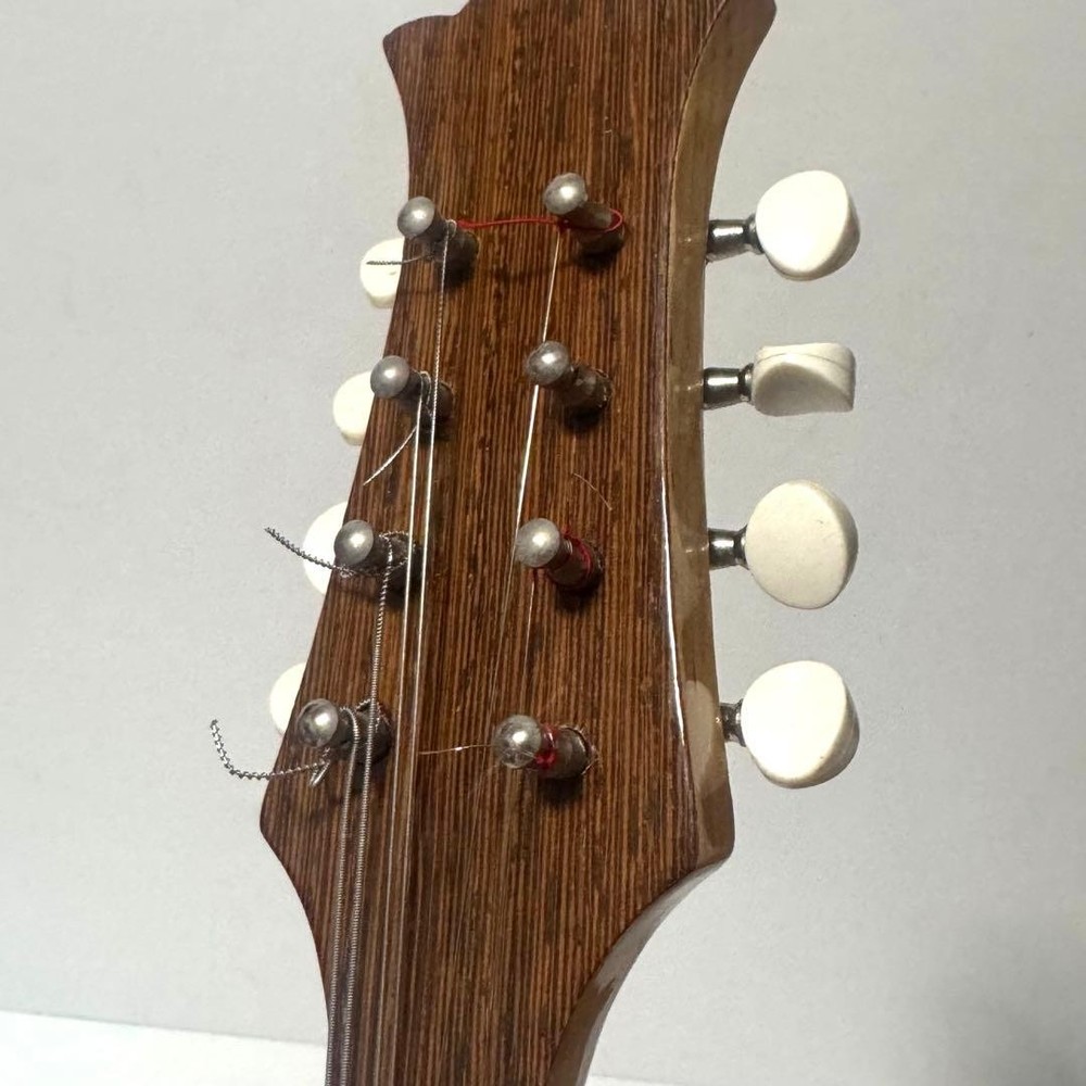 Good condition MONOPIA Mandolin with hard case