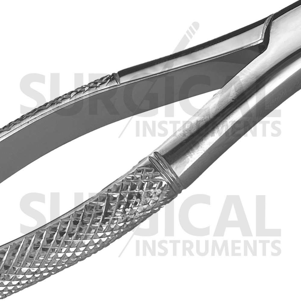 Extracting Forceps Dental Surgical Instruments #3FS German Grade