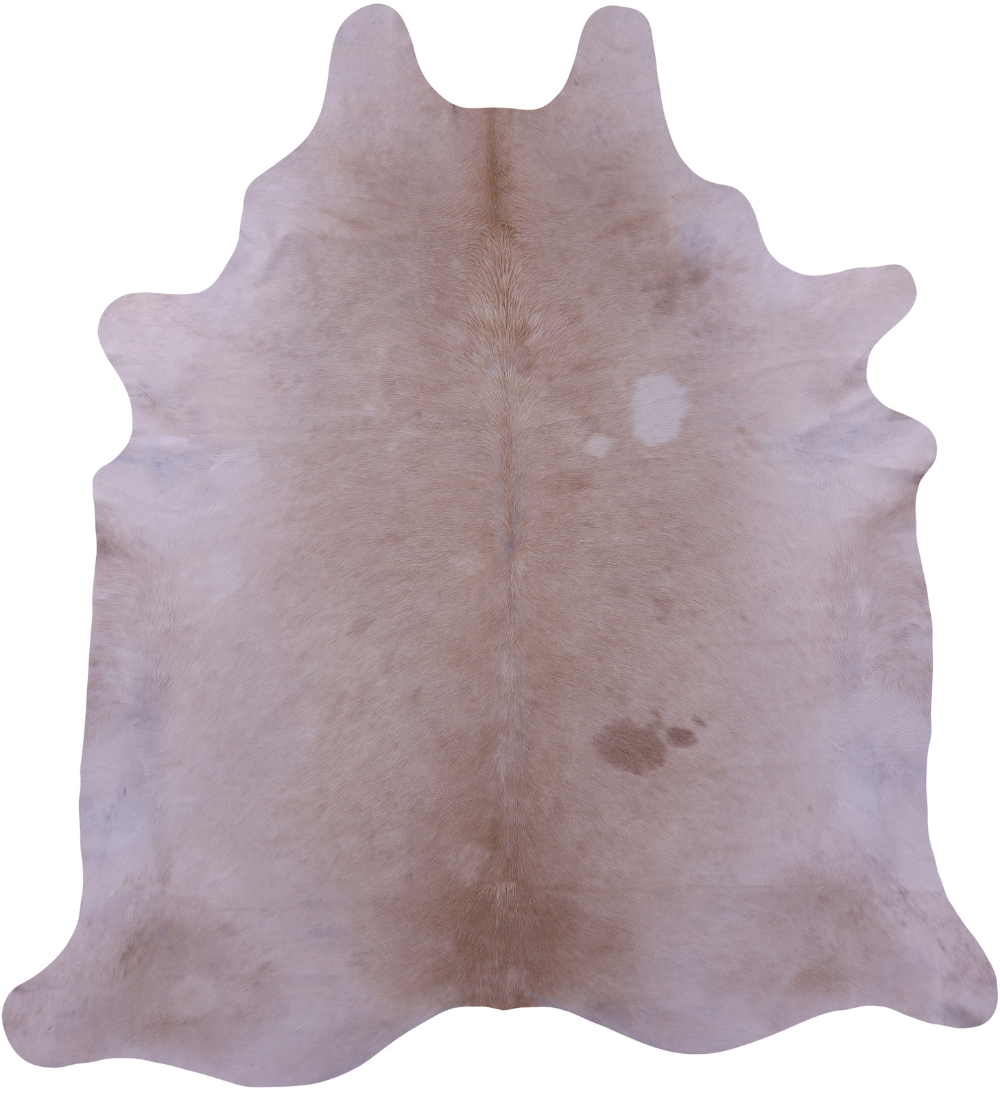 SUPER SALE Beige Natural Cowhide Rug - XX-Large 8' 5"H x 7' 10"W