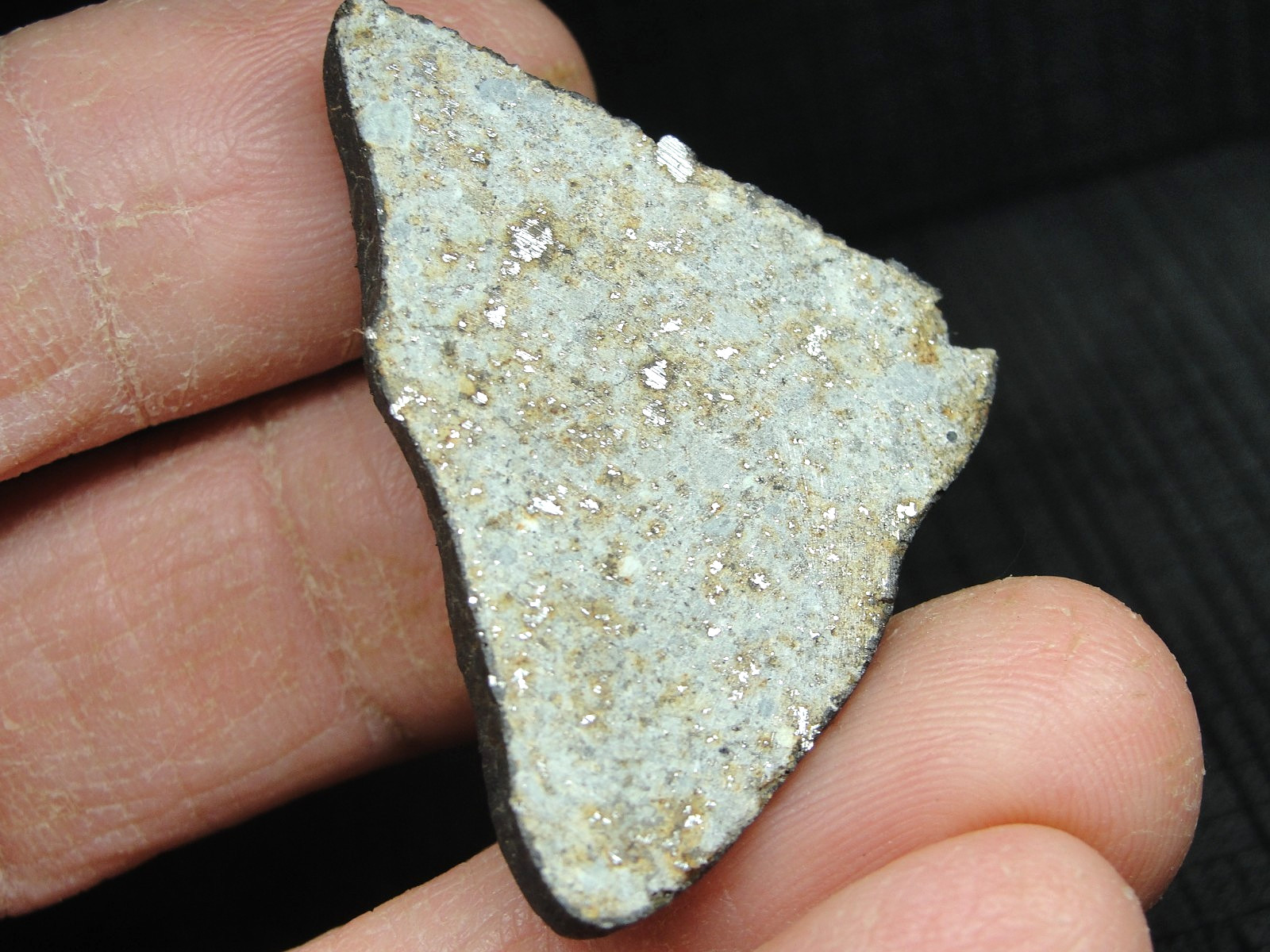 Ghadamis - HAH-346 - Libya 2019 - GAD-0384 - 13.49g - COA - Fusion Crust End Cut