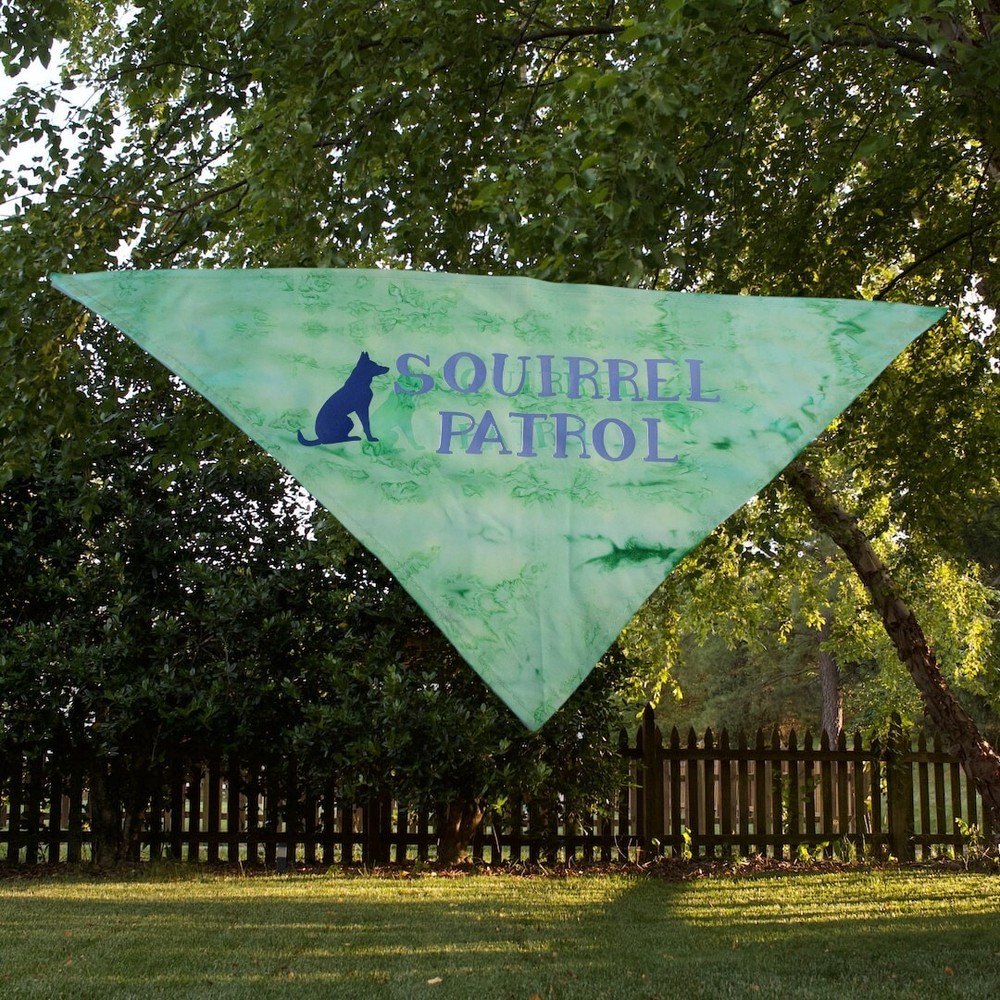 Pet Bandana Squirrel Patrol
