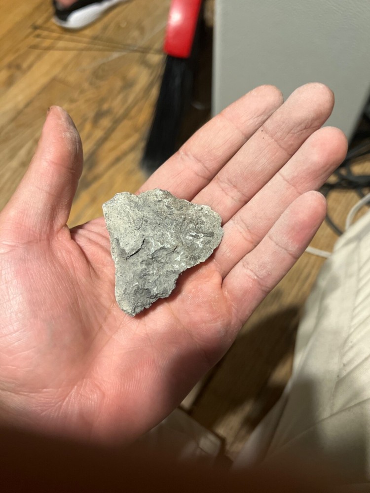 fossils other
