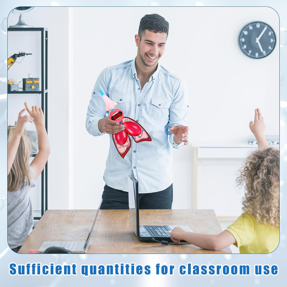 24 Sets Lung Model Respiratory System Model Toys Science Classroom Study Display