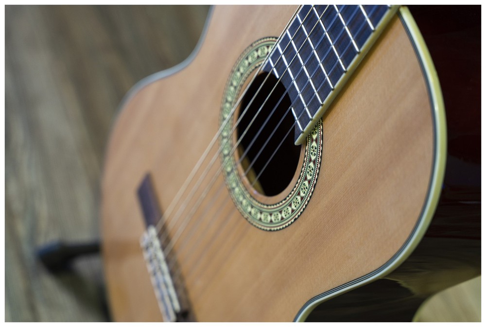 Peavey Delta Woods CNS-2 Classical Nylon String Guitar