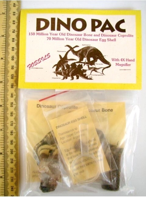 Fossils: Dino Pac, Dinosaur Bone, Coprolite, and Egg Shell & Information Cards