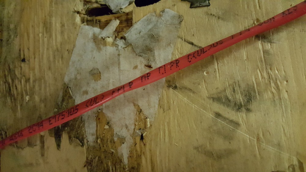 Southwire Genesis 4313 14/2C Solid Riser Fire Alarm/Security Cable Red /100ft