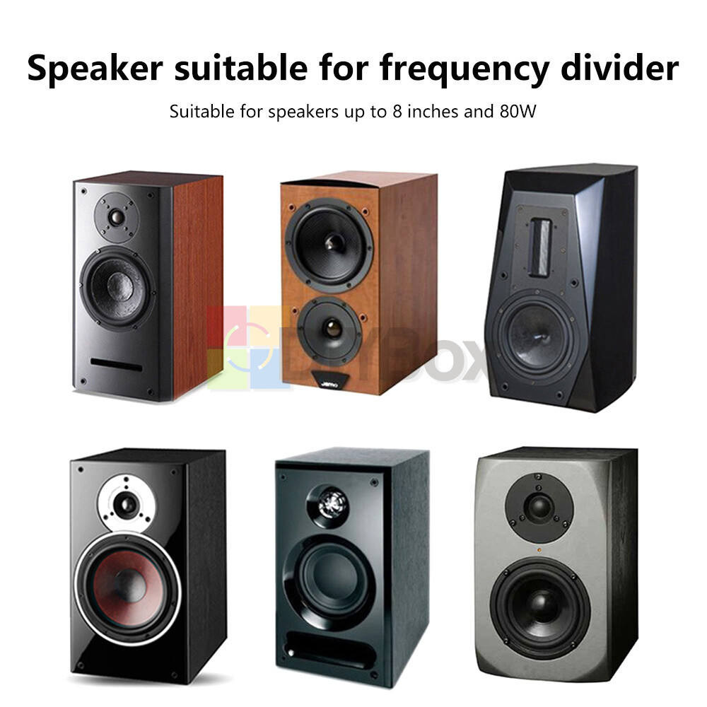 Speaker Modification Upgrade Crossover Frequency Filter High & Low Two-way HiFi