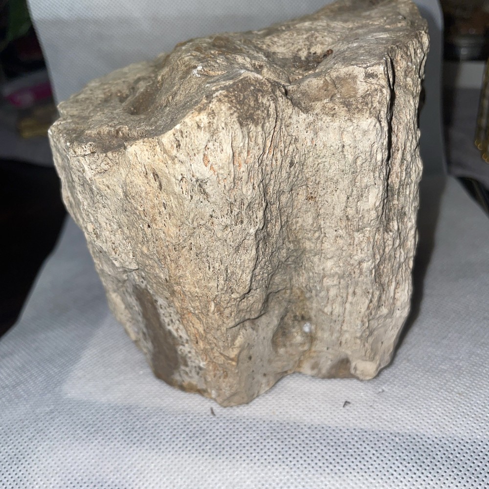 Petrified Wood. 4.705 Lbs