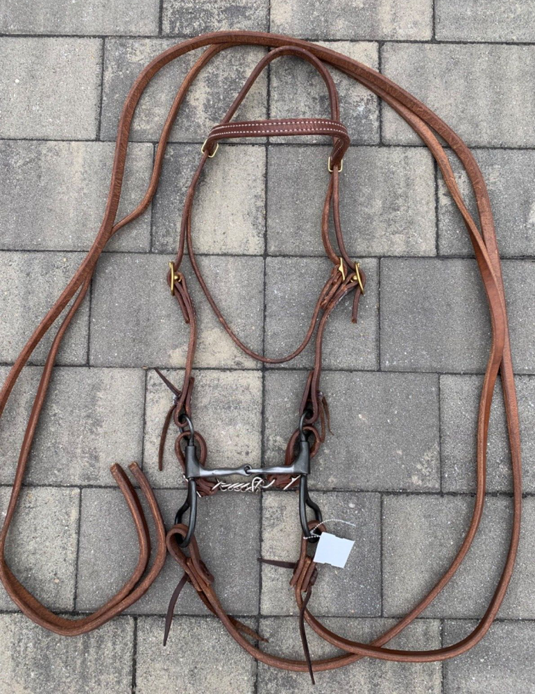 Dutton Smooth Tear Drop BIT & COMPLETE BRIDLE SET Headstall, Reins, & Curb Strap