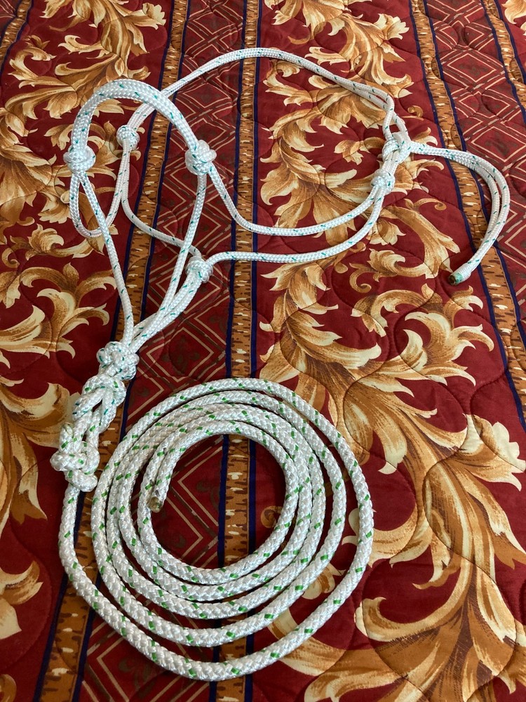 Rope Halter & 8ft Lead, Average Horse