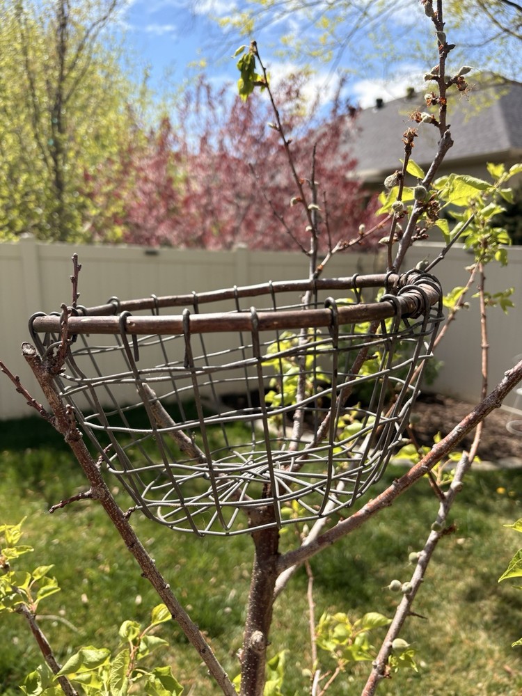 Round Wire Storage Basket Rustic Metal