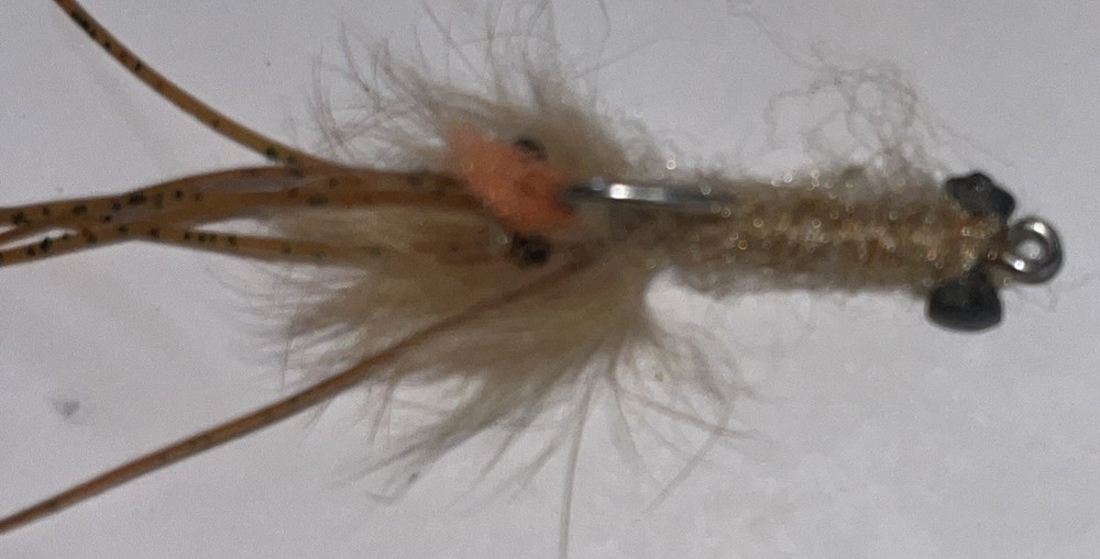 Dumbbell Eye Mantis Shrimp Fly (6ct) Great For Bonefish