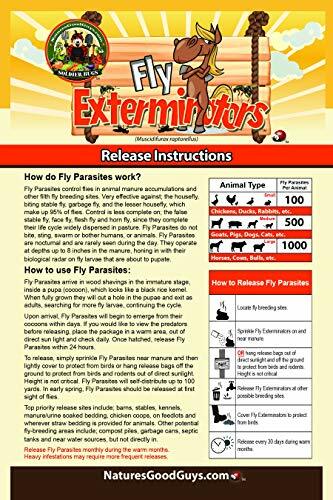 NaturesGoodGuys Fly Exterminators 2,000 Size