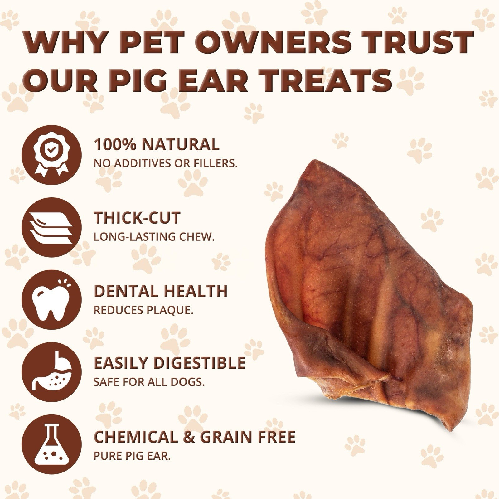 100% Natural Whole Pig Ear Dog Treat - 10 Pack Healthy Pig Ears.