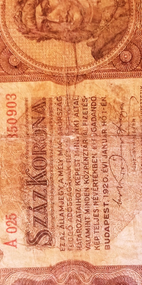 1920 Hungary 100 Korona Circulated