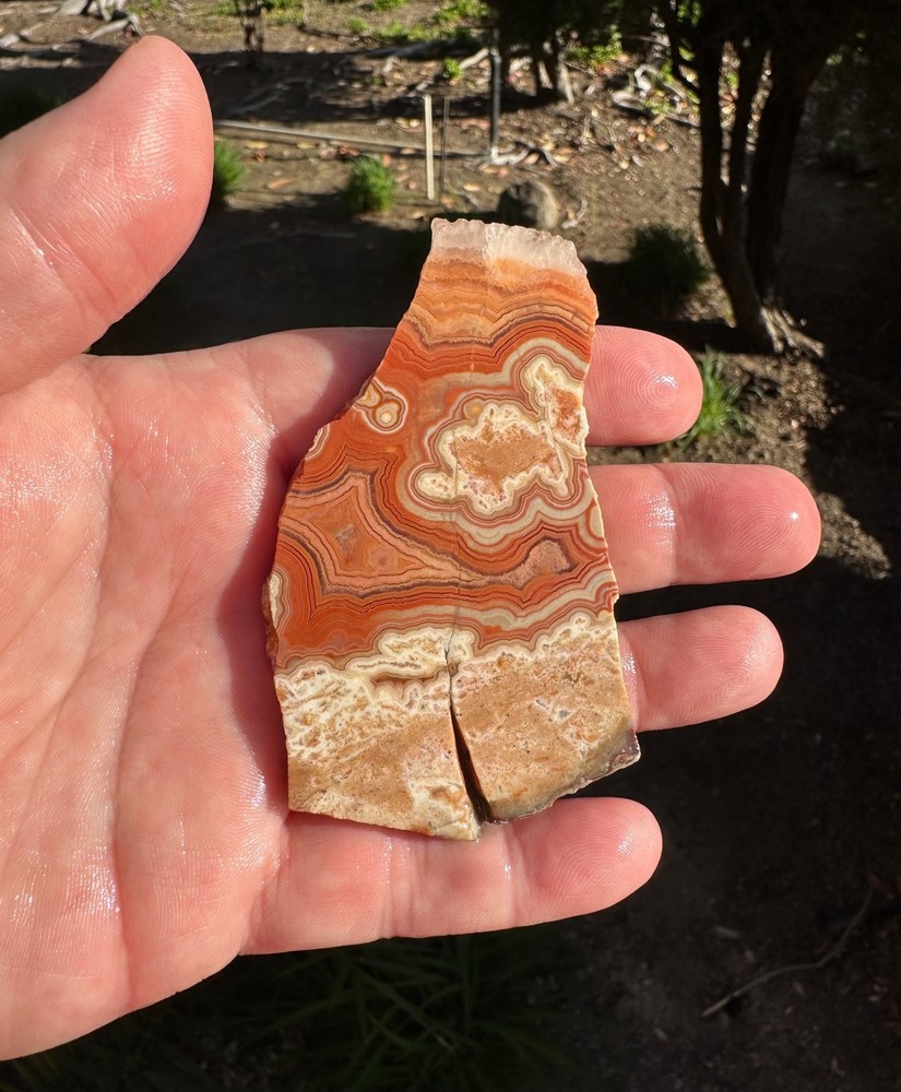 Dryhead Agate Slab, 43 grams, Cabbing/Lapidary